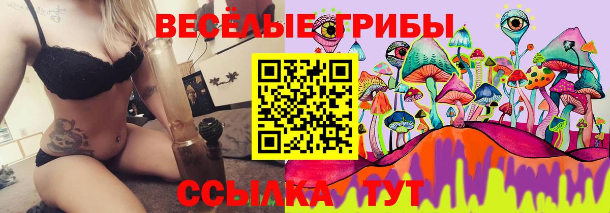 Галлюциногенные грибы Psilocybine cubensis Куйбышев