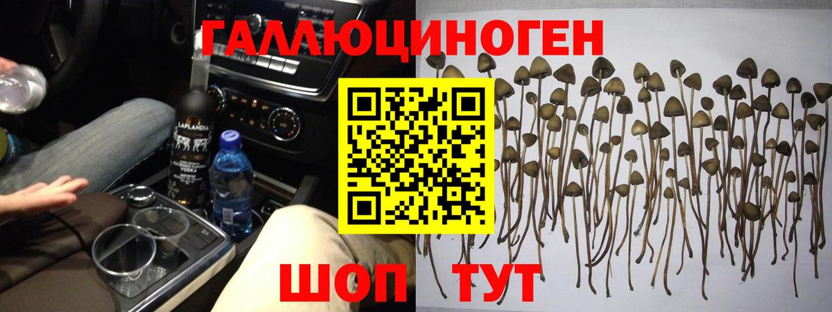 Псилоцибиновые грибы ЛСД  Галлюциногенные грибы Cubensis  Куйбышев  Вход с VPN 